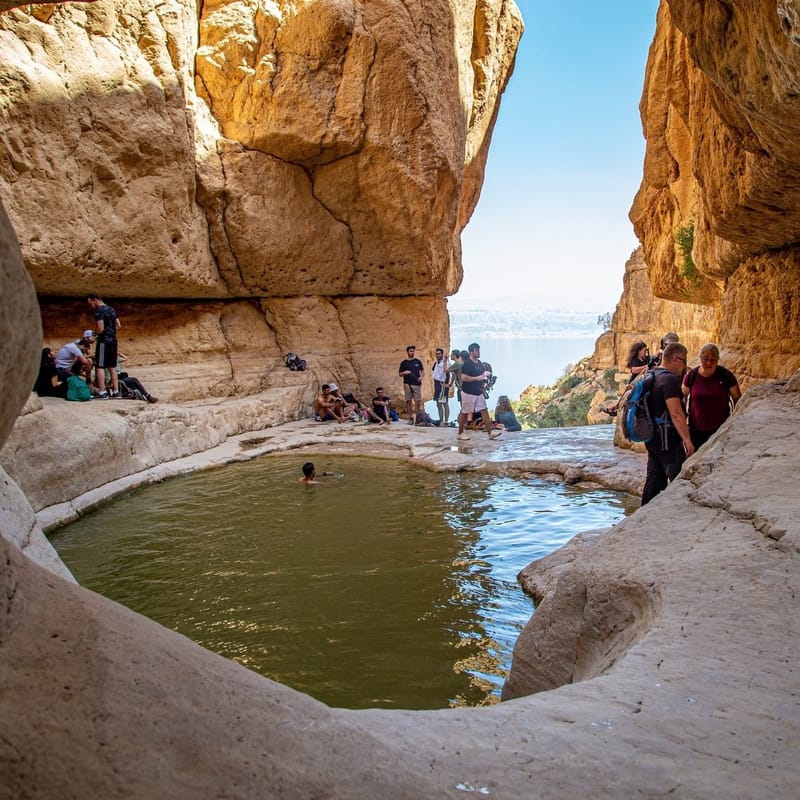 Иудейская пустыня. Водопад Халон, ручей Давид и заповедник Эйн Геди протяженность 8-10 км.