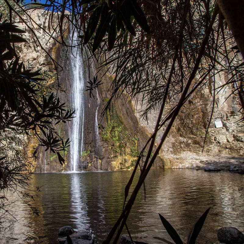 Походы по пятницам.Нахаль Эль Аль.Черный и Белый водопады с дегустацией вина и масла.-легкий 5-6 км