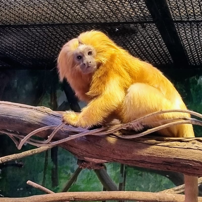 Каникулы! Библейский зоопарк и Аквариум в Иерусалиме.