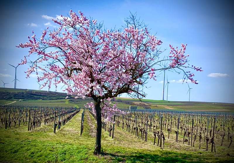 Sehenswürdigkeiten