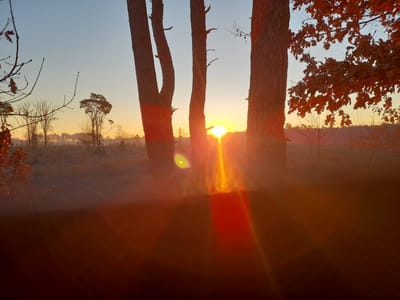 Natuurvoer op doktersvoorschrift