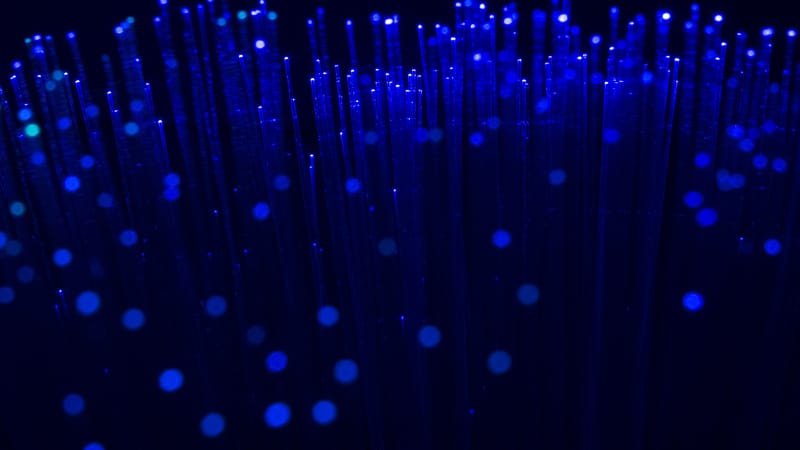 Fiber Network Services