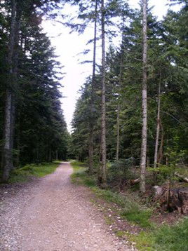Parcours découverte