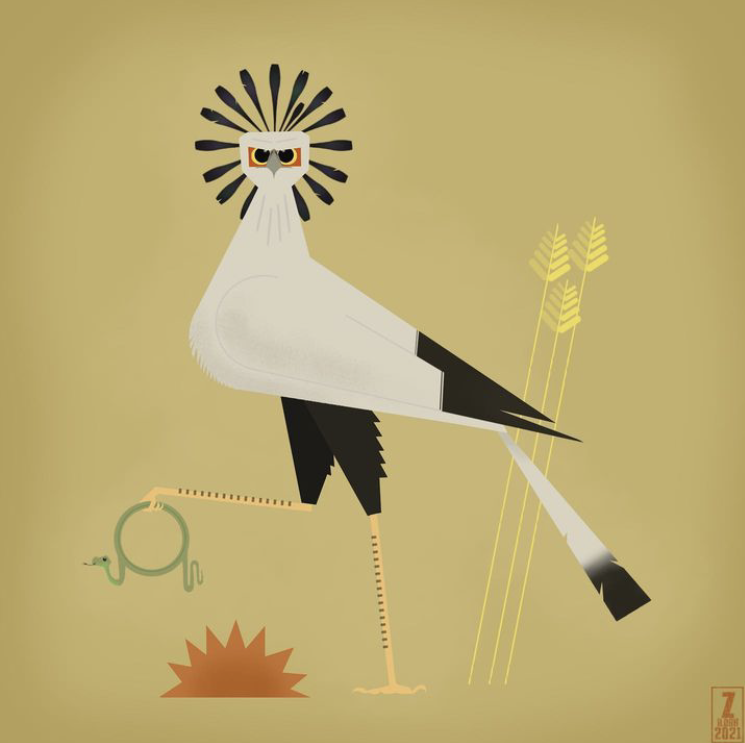 Digital illustrations