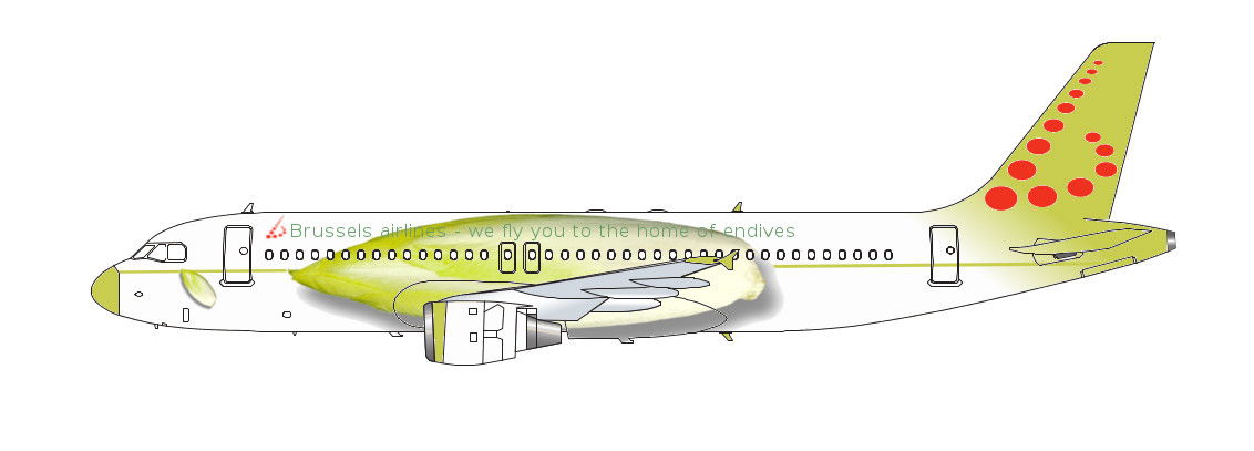 Design proposals Brussels Airlines
