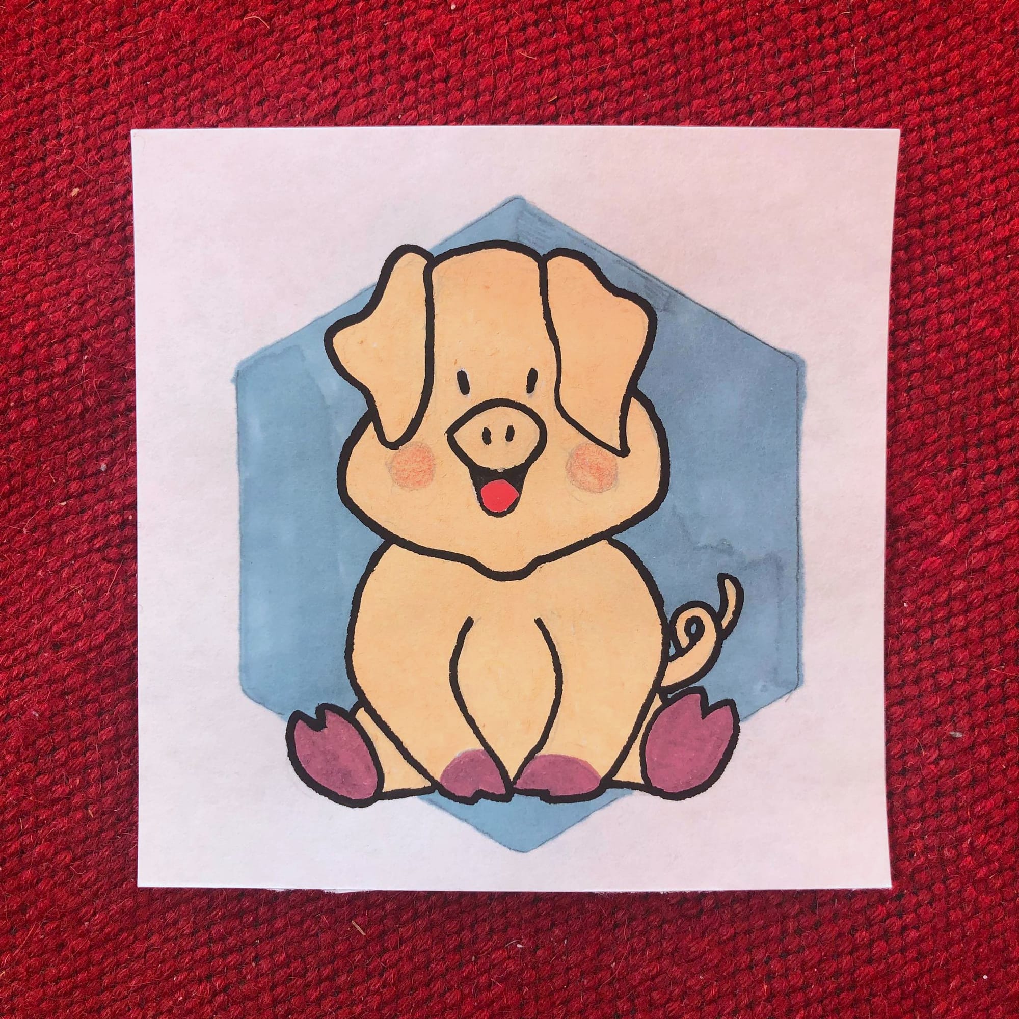 High constrast pics for newborn