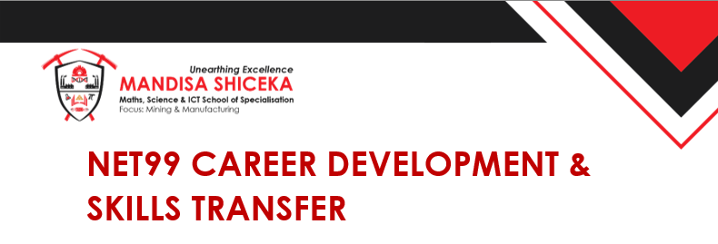 Net99 Career Development & Skills Transfer.