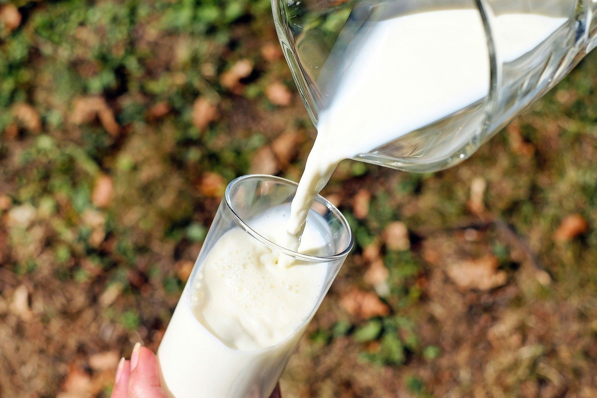 Discover the Astonishing Benefits of Goat Milk