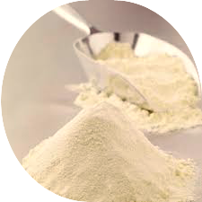 Goat Milk Powder