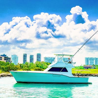 Reel in the Adventure: Exploring Cancun Fishing Charters