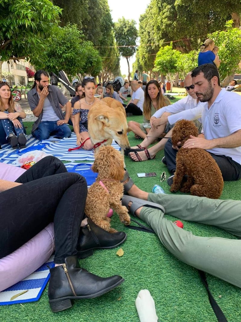 איגור טרכטמן