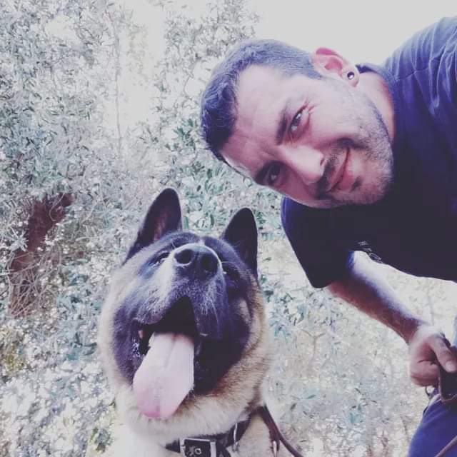 אילוף כלבים בקריות | מאלף כלבים בחיפה מכל ה-♥