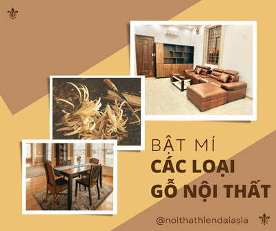 Bật mí các loại gỗ trong nội thất
