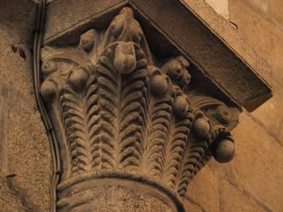 Los Capiteles en flor del Camino de Santiago.