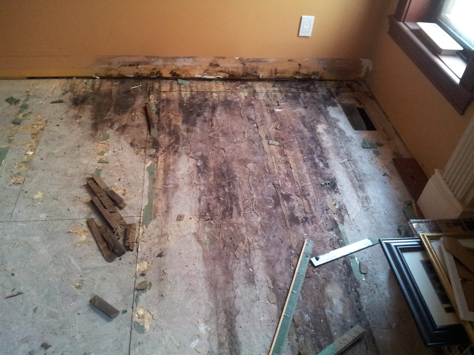 project photo