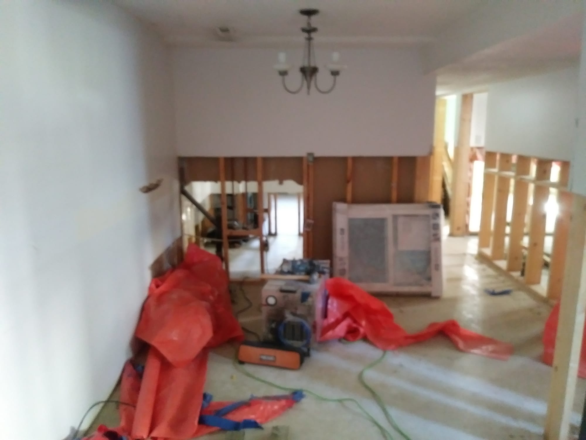 project photo