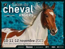 Salon du cheval d'Angers (49)