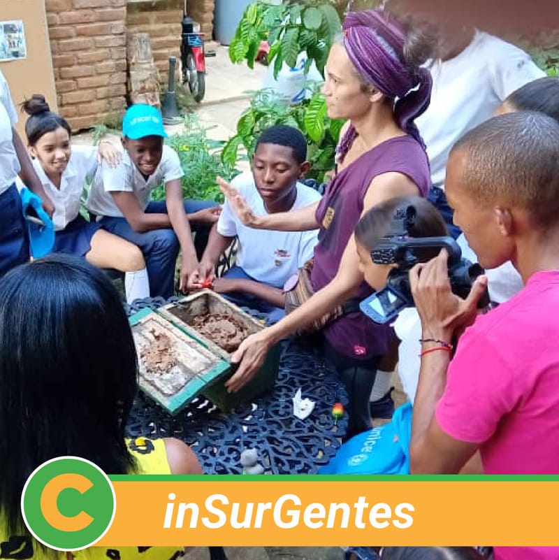 Proyecto de Desarrollo Local (PDL) ¨Insurgentes¨ - Copia