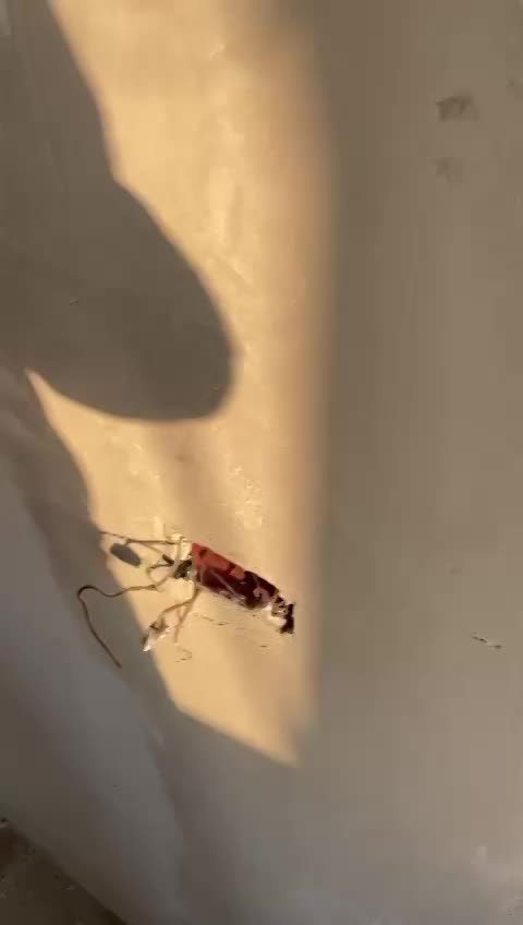 פרויקט בעיר רמת גן