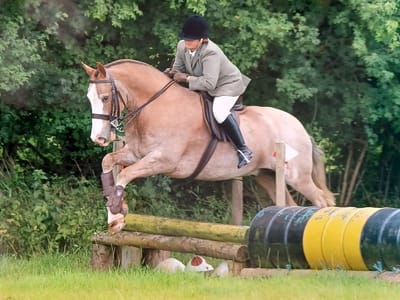 OUR BLUE PLANET - Good Hoof Keeping