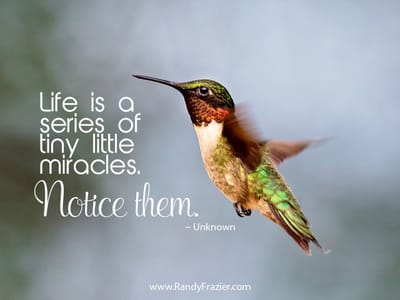 Teste "Um outro Olhar"