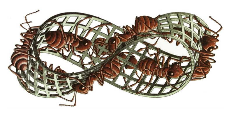 4-7/23 מחוץ למביוס