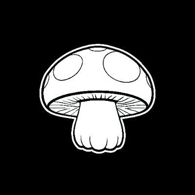 Community lead for ZkShroomies