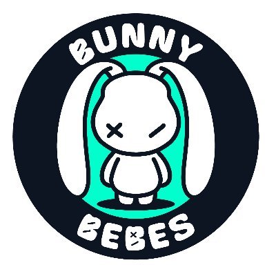Project manager for Bunny bebes nft