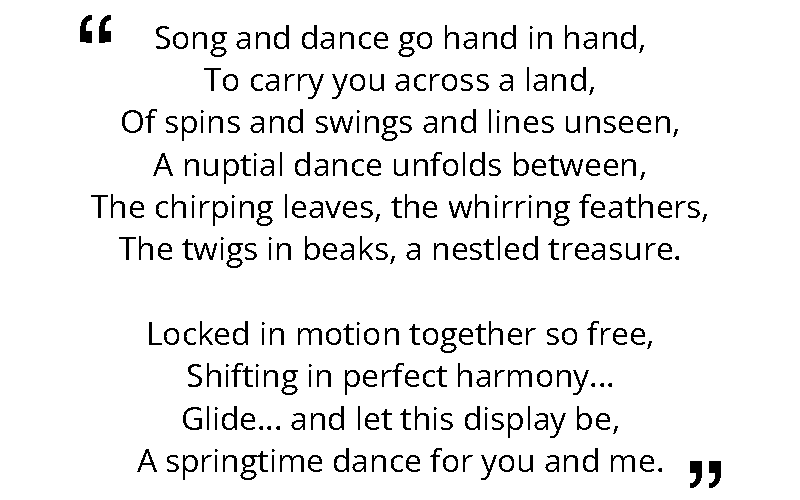 Mating Dance~ Poem