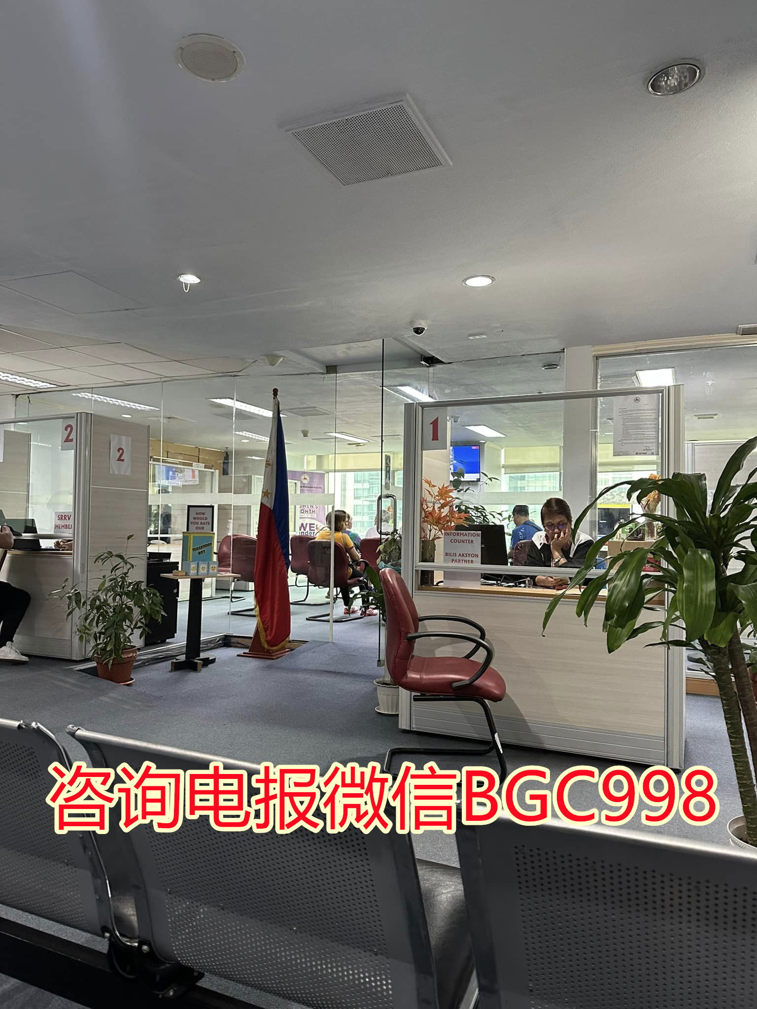 菲律宾中文移民公司