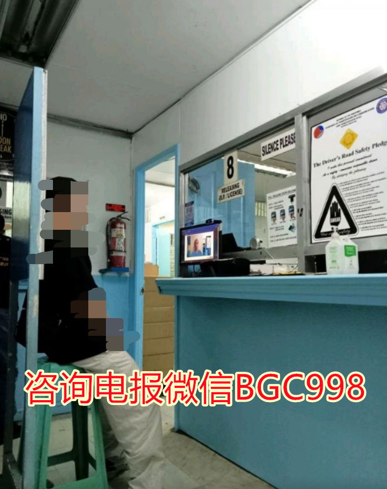 车管所奎松