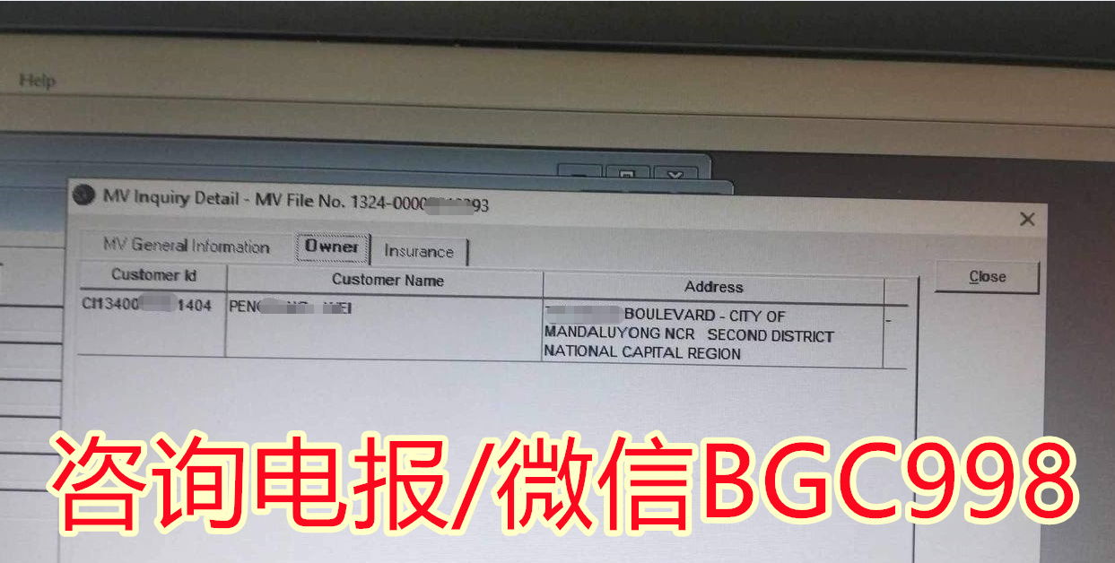 菲律宾汽车档案查询