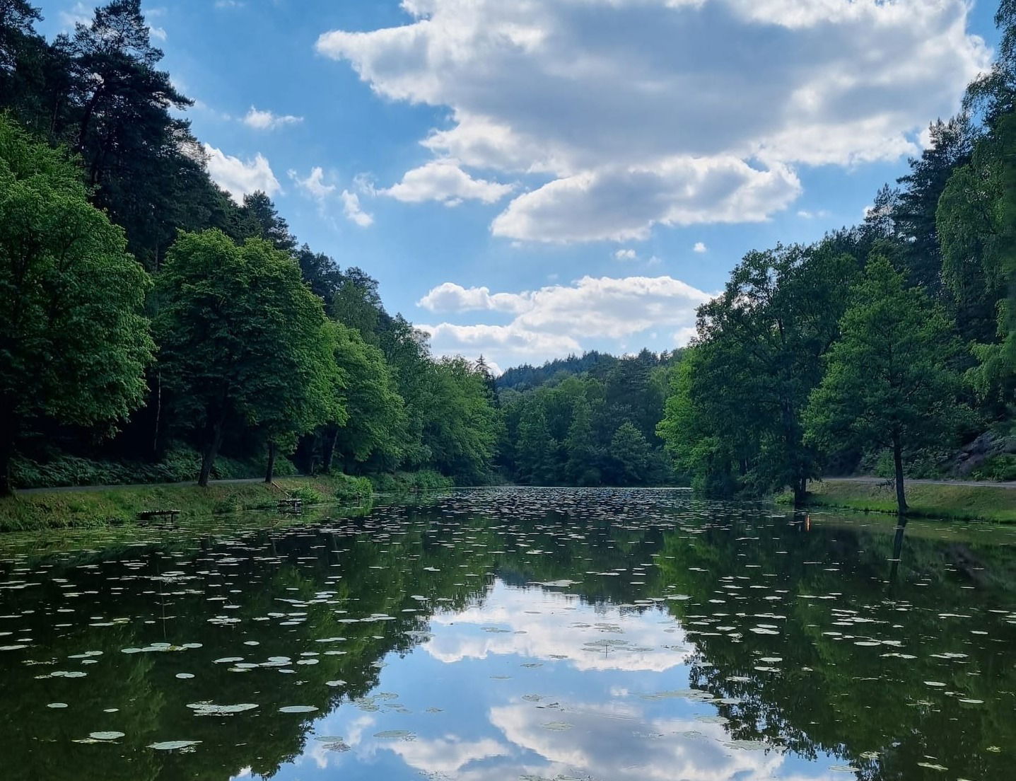 Weiher-Tour