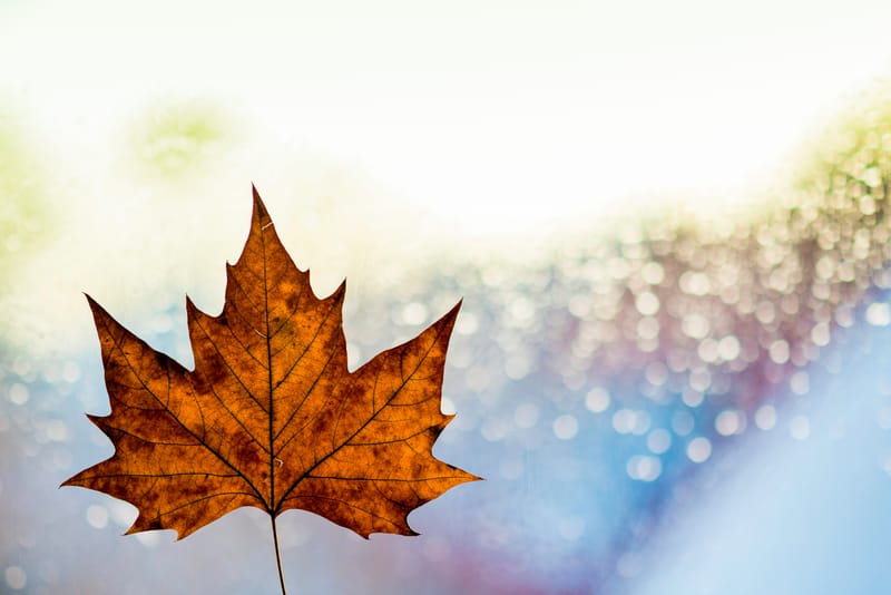 CANADA