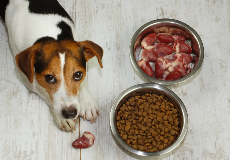 Des Aliments sélectionnés