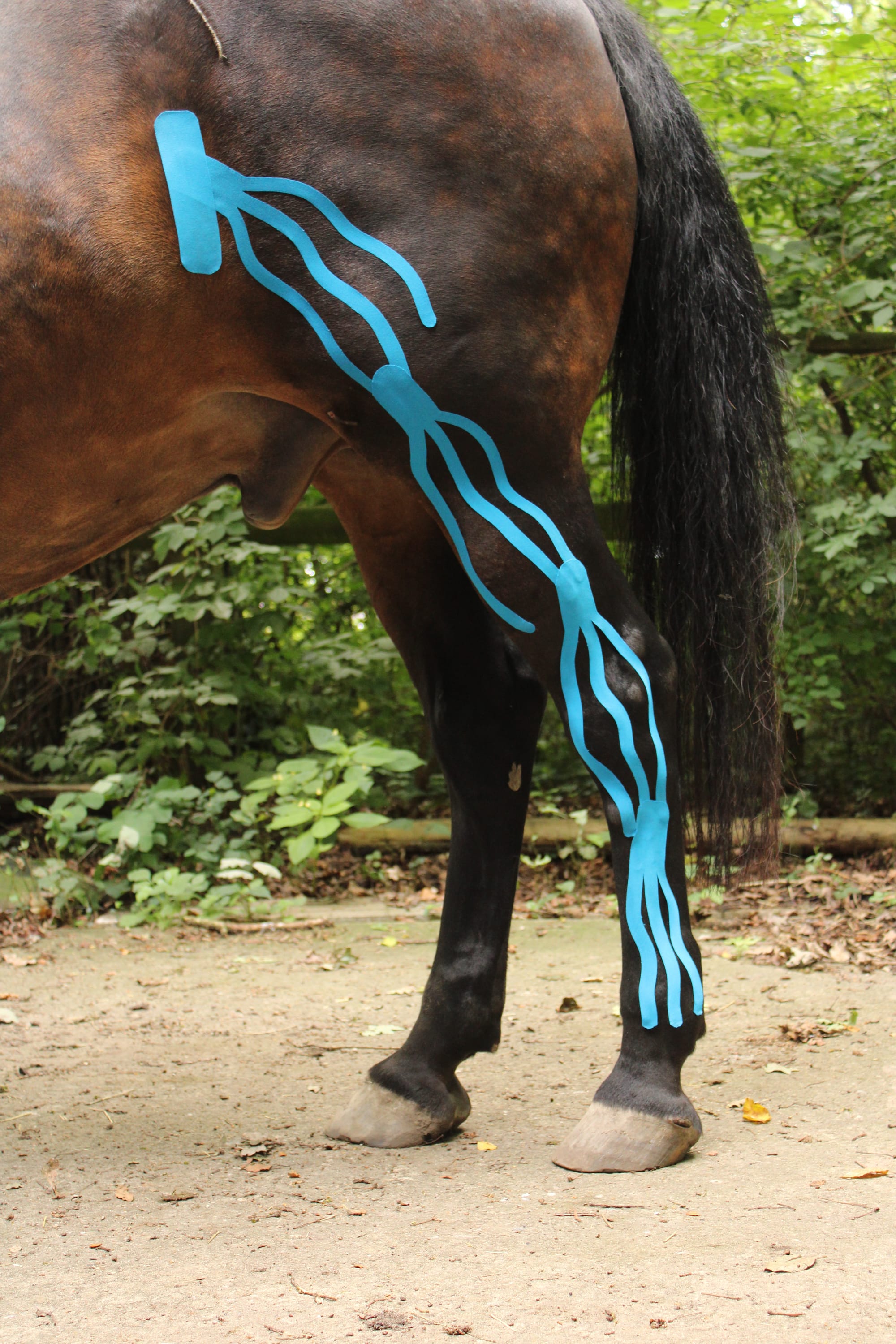Lymphtape