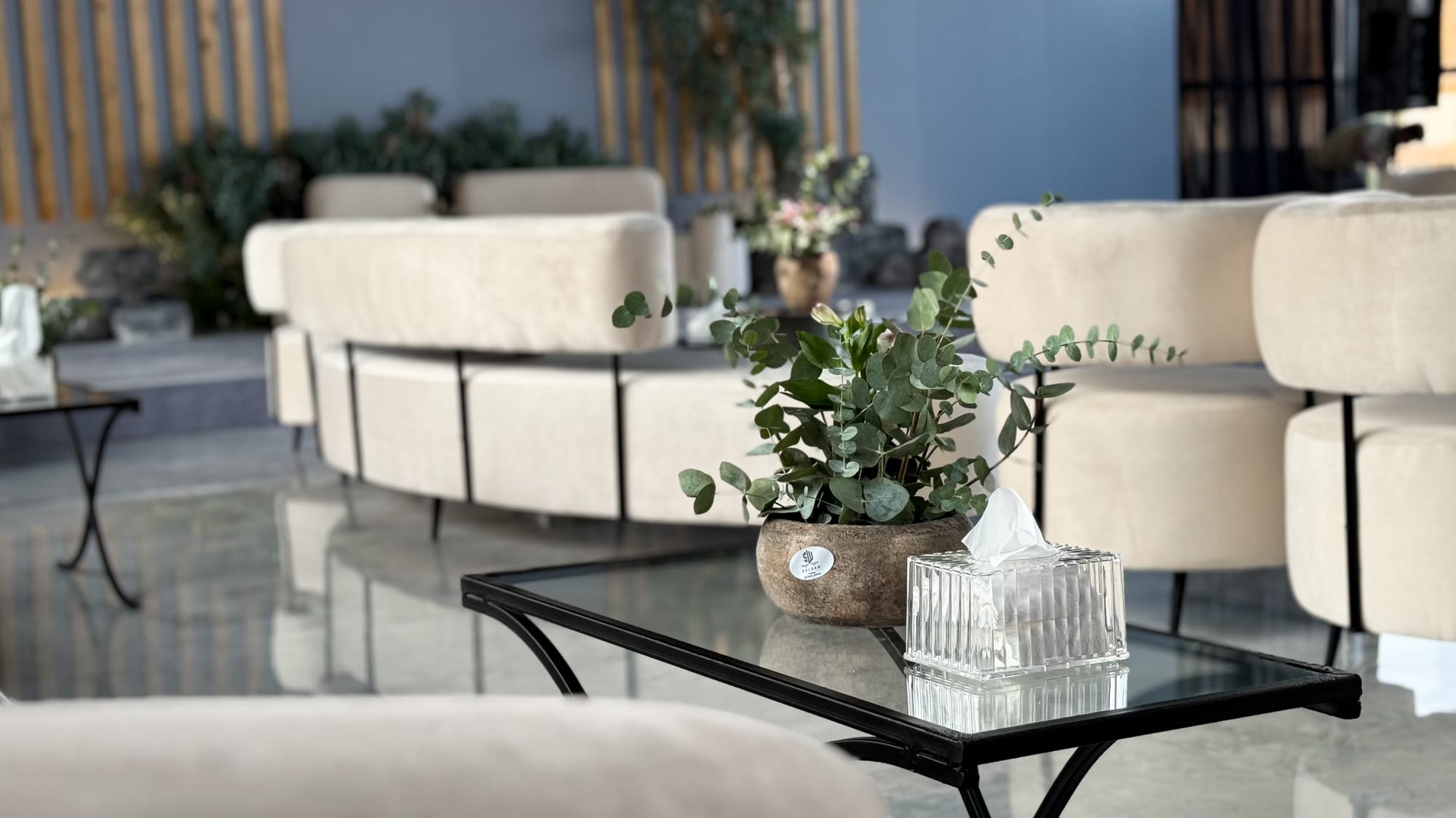 منتجع جوهرة الوصيل