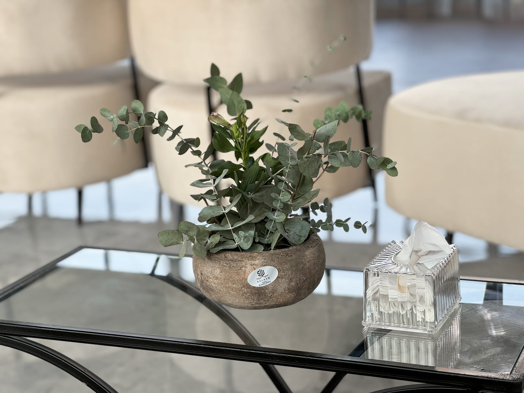 منتجع جوهرة الوصيل