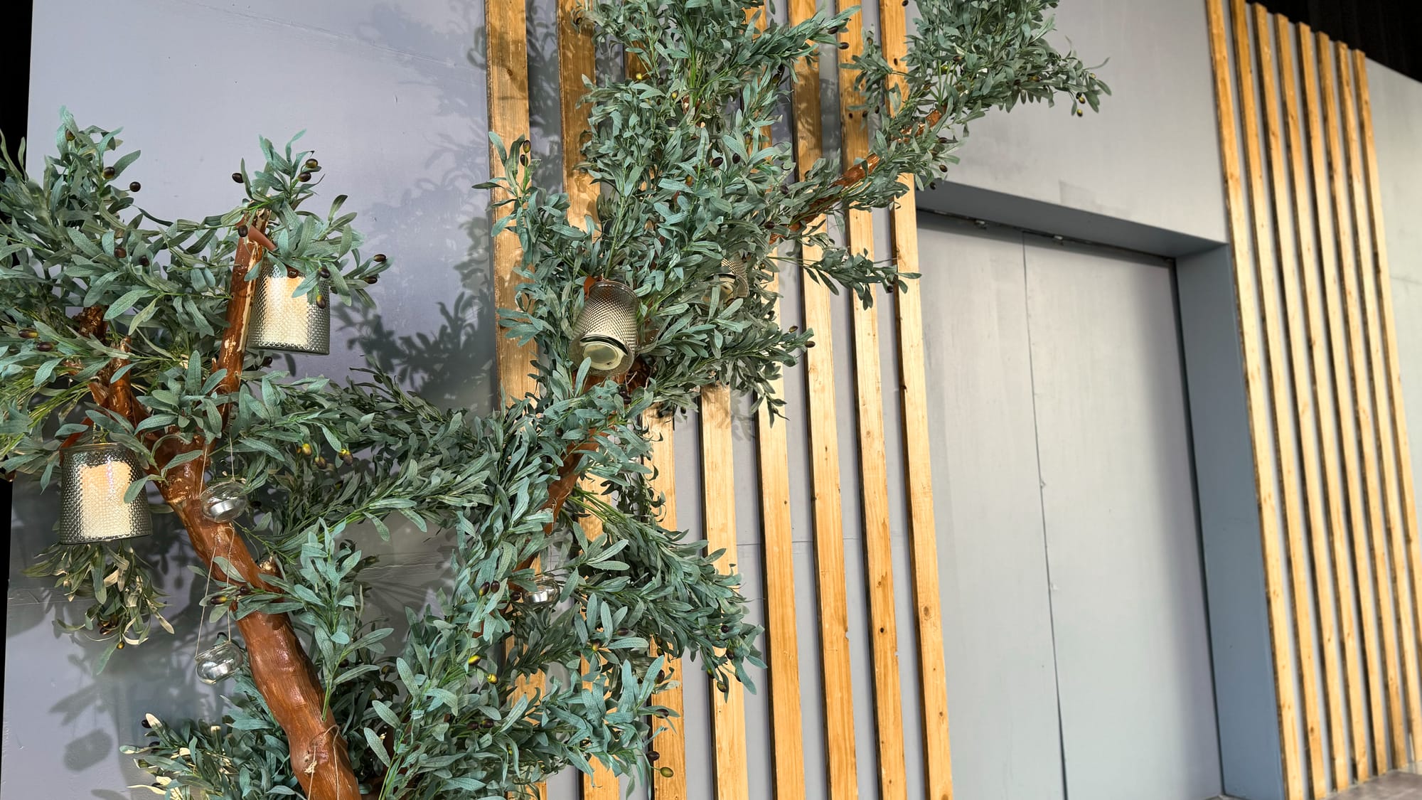 منتجع جوهرة الوصيل