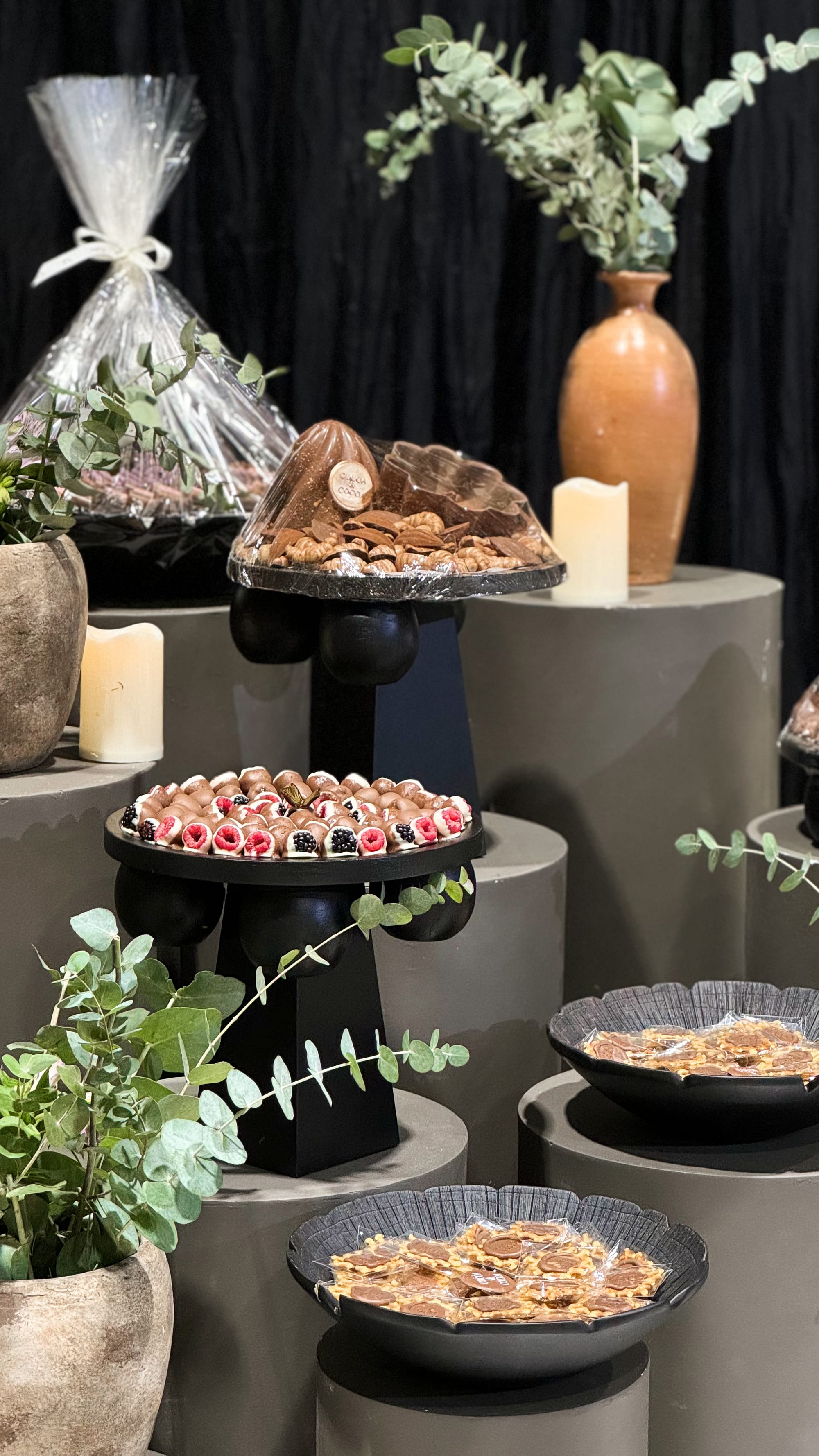 منتجع جوهرة الوصيل