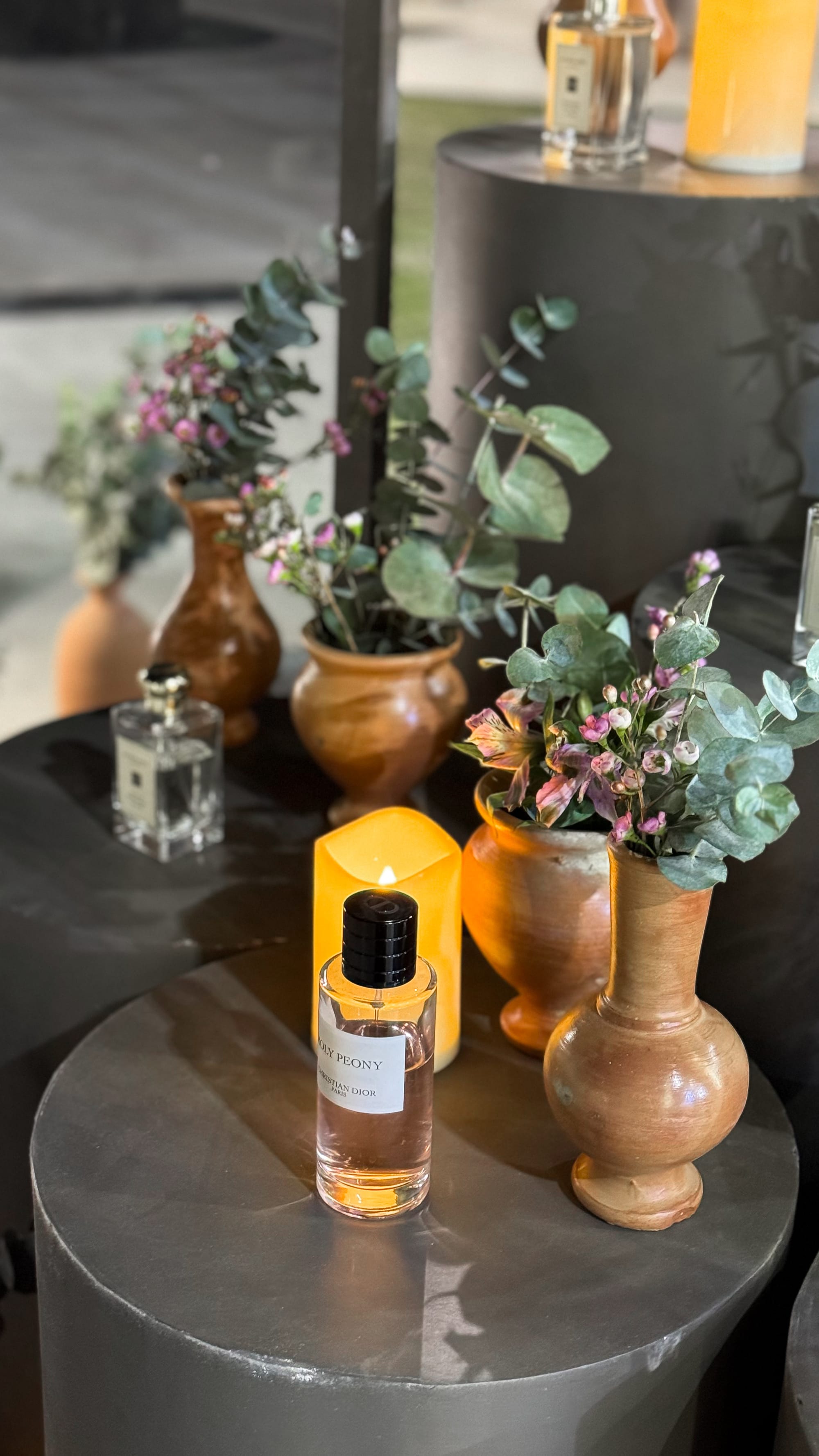 منتجع جوهرة الوصيل