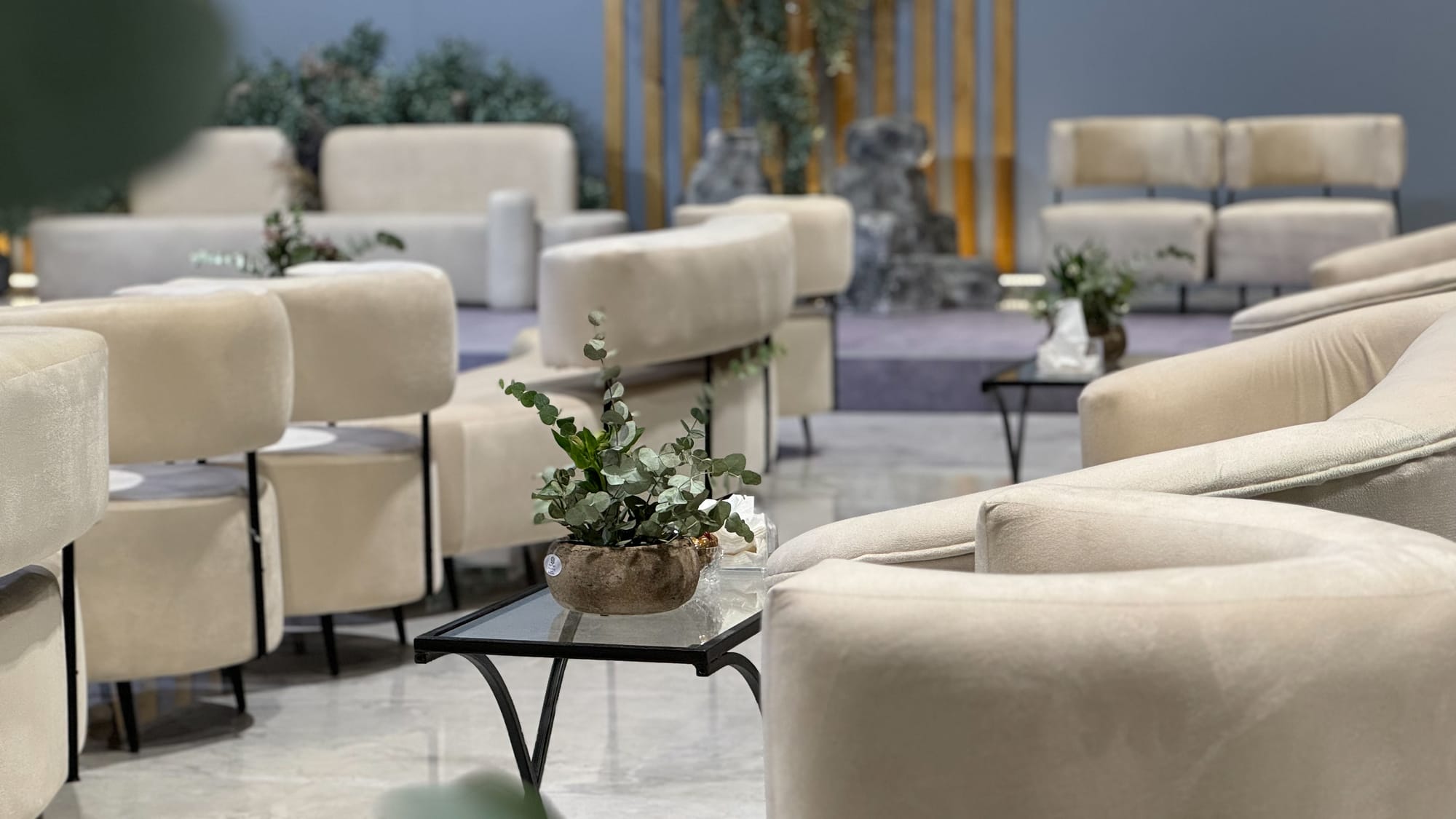 منتجع جوهرة الوصيل