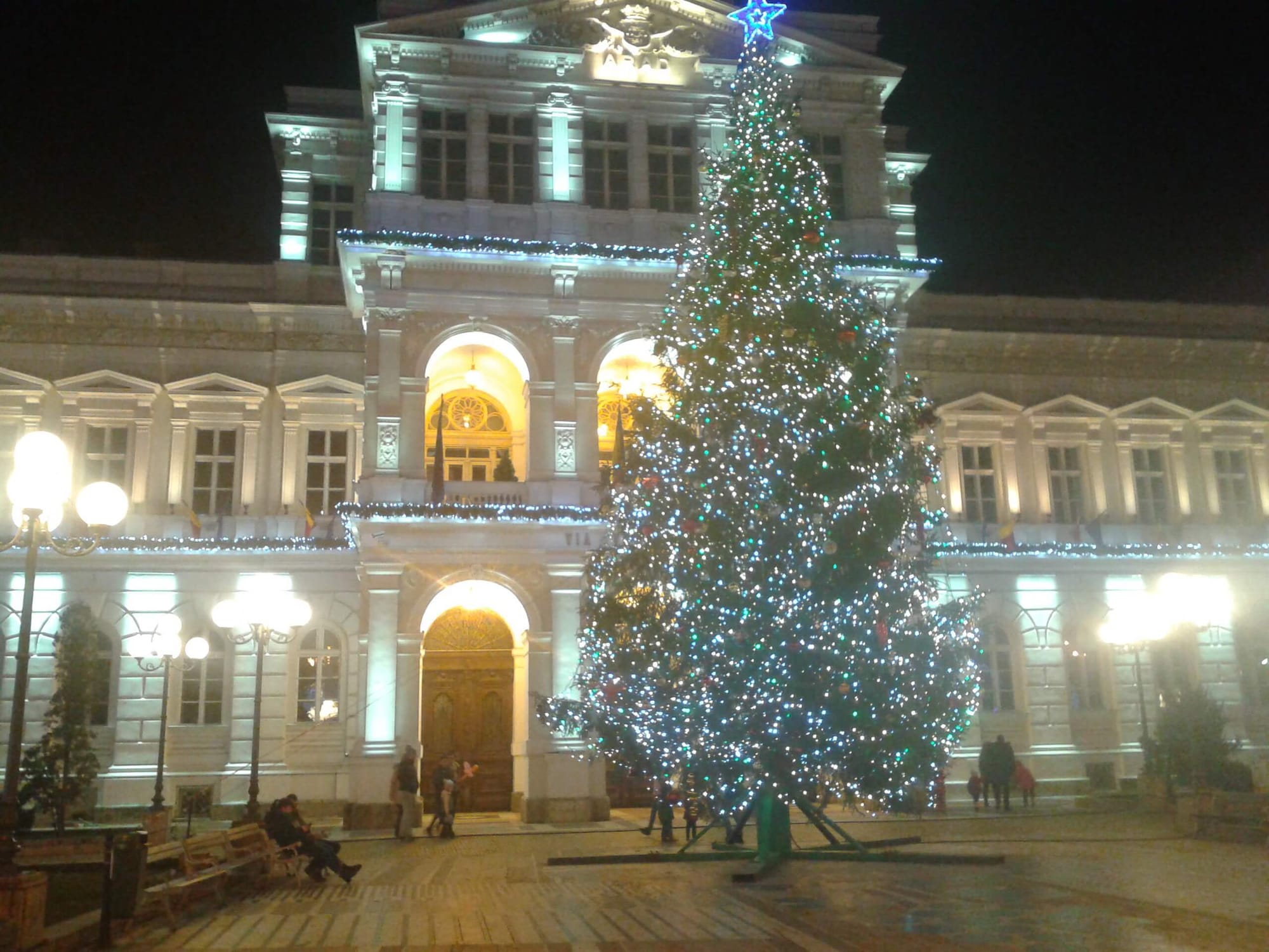 bradul de Crăciun în fața Primăriei Arad