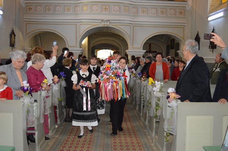 PARADA PORTULUI POPULAR ȘVĂBESC la ȘIRIA-ARAD