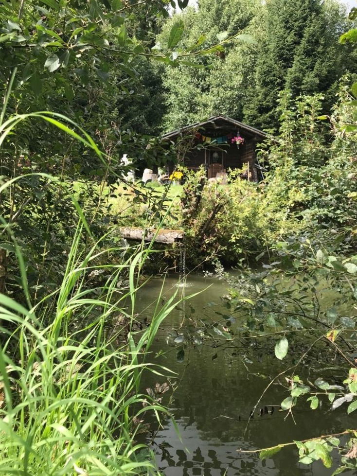 Waldgeisthütte Sommer
