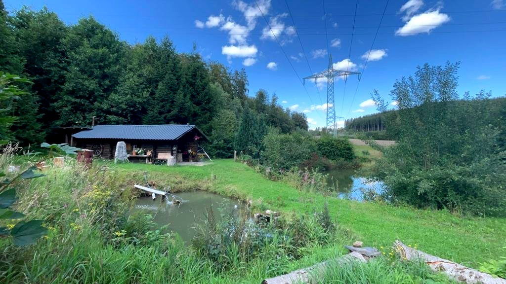 Waldgeisthütte Frühling