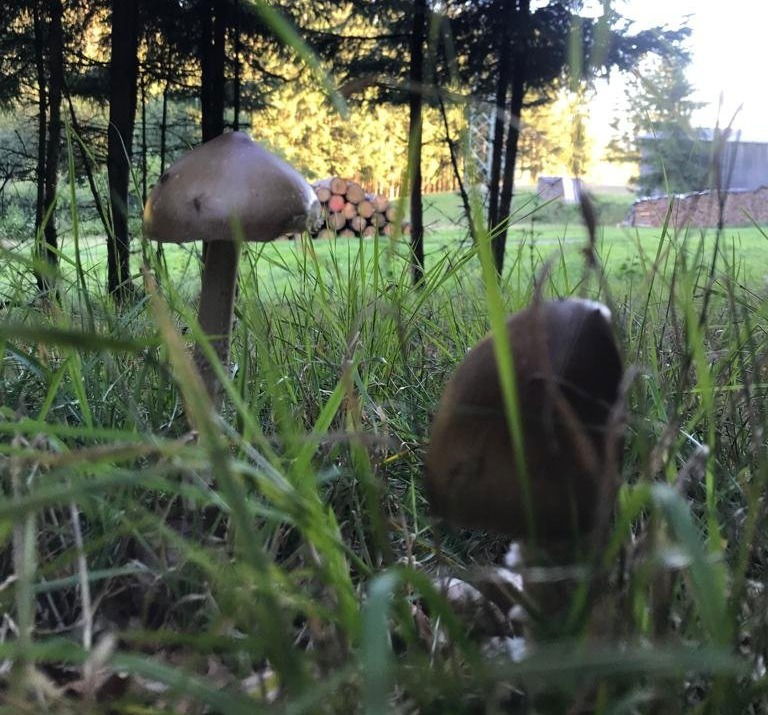 Herbstzeit
