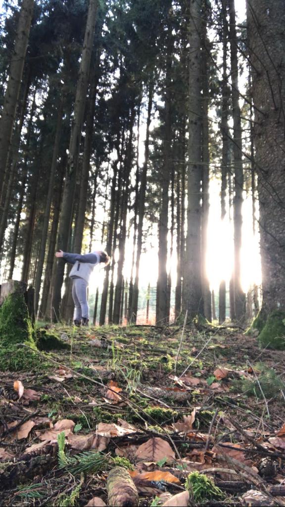 Frühling