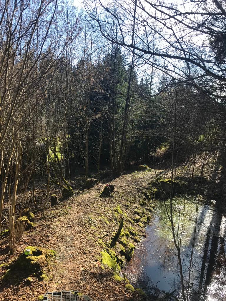 Weg zur Hütte Frühling