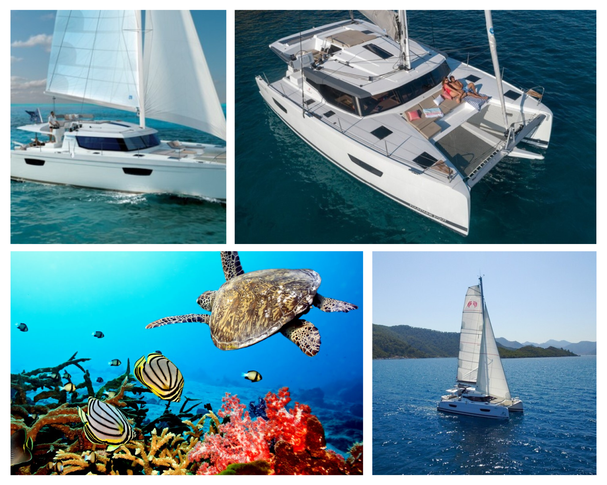 YACHTING & ACTIVITES NAUTIQUES